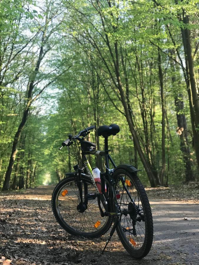"Casa20200" 2 X Apartments Je 150Qm Fuer Business, Familien, Gruppen, Handwerker 15Min Von Berlin, Erdbeerhof, Outlet B5, 5Min Vom See Falkensee !! 2 Apartment Each 150Qm For Business , Families 15Min From Berlin!! Luaran gambar